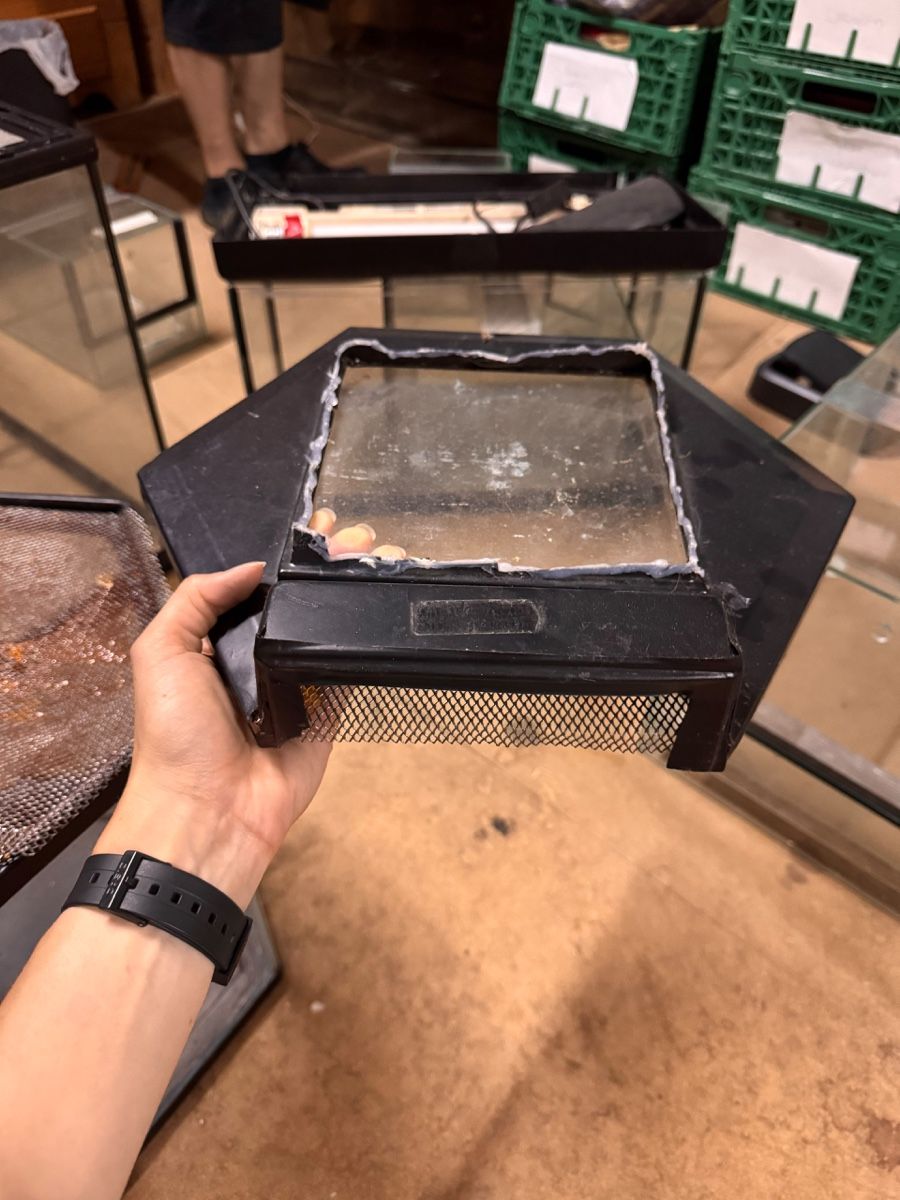 Terrario: Glassterrarium – Difettoso da Wil ZH venduto da chillyhunter 2