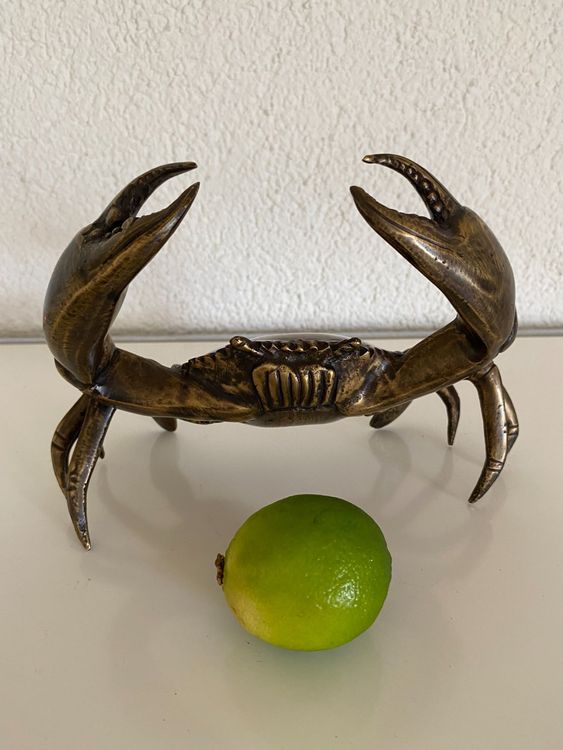 Ziegenschädel Deko Aus Harz - Realistische Totenkopf Dekoration Für Aquarium & Garten