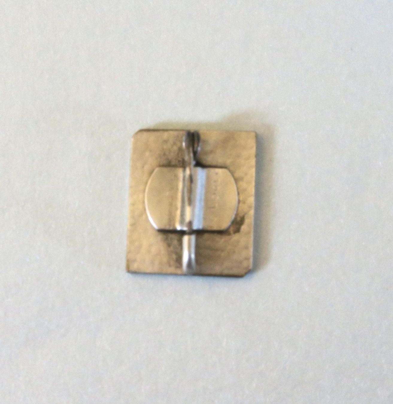 Placchette & Badge: Pin/Brosche Enzian, kleine Scheidegg – Usato da Brittnau venduto da marlenestone 1