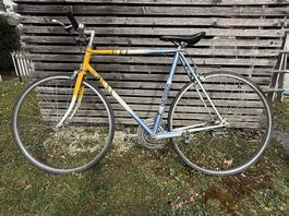 Wheeler - Gerber 25 Zoll