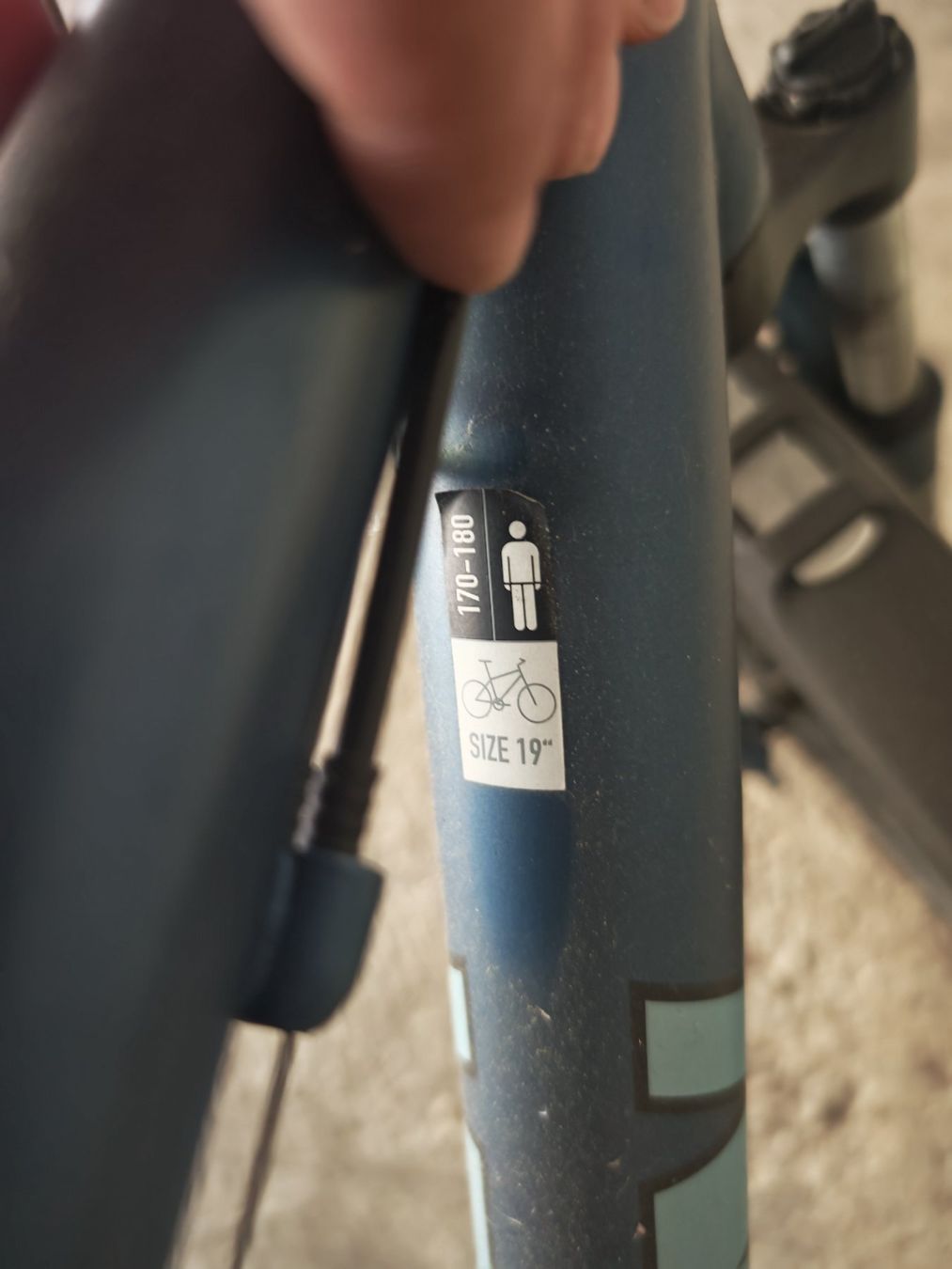 Wheeler Biciclette: Wheeler 19 W Pro – Usato da Richenthal venduto da maenggi16 1