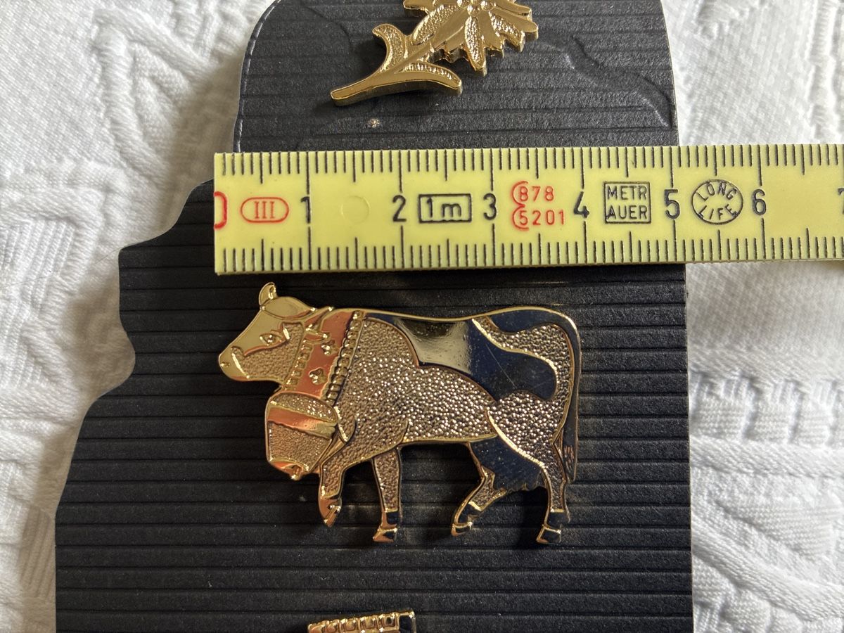 Placchette & Badge: Schweizer Wahrzeichen Pins - Swiss Collection - Neu! – Nuovo (secondo la descrizione) da Ebnat-Kappel venduto da ponyhales 3