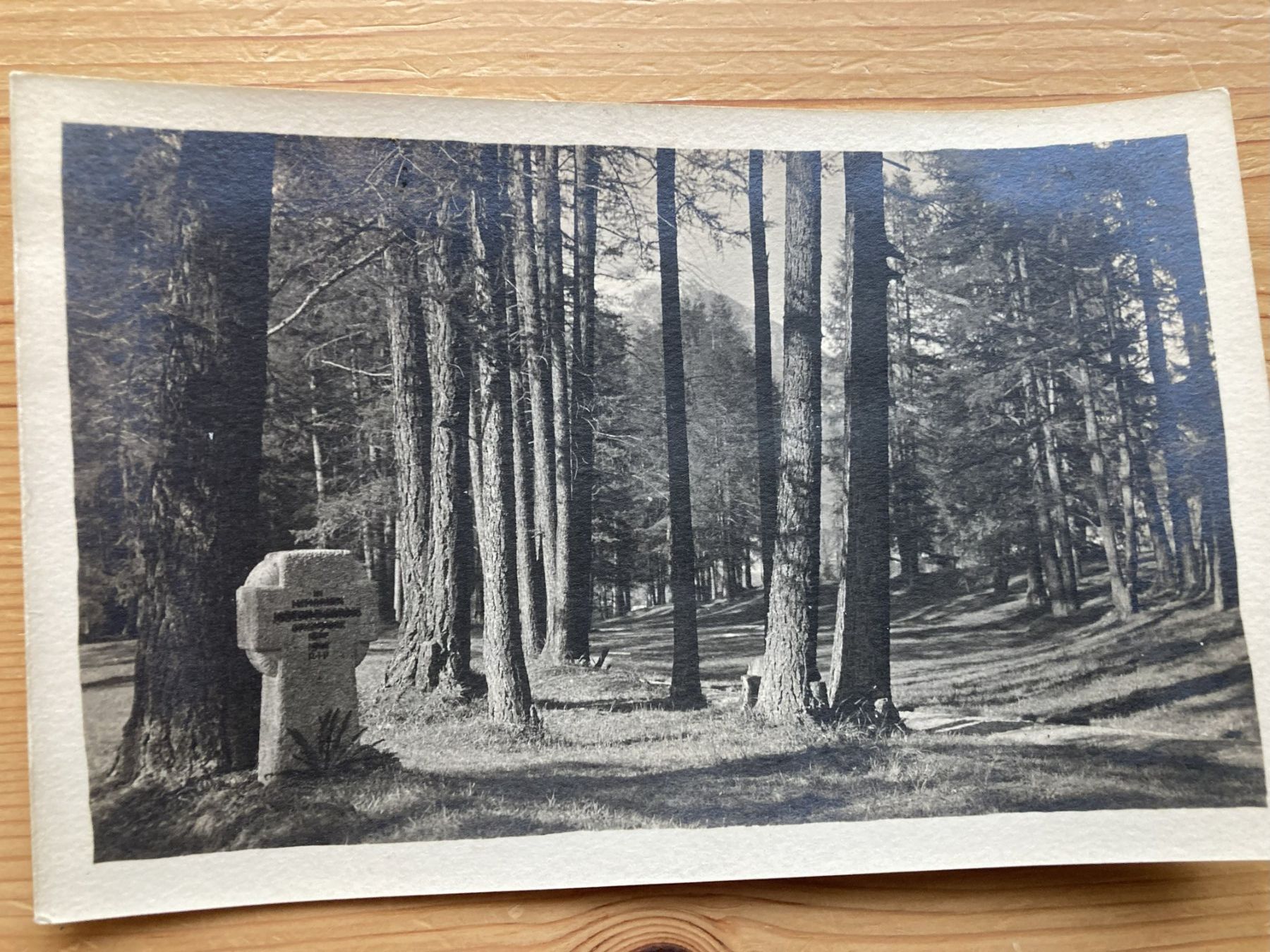 Ansichtskarten: Davos - Waldfriedhof Wildboden - AK – Neu (gemäss Beschreibung) aus Oberuzwil von Henri09