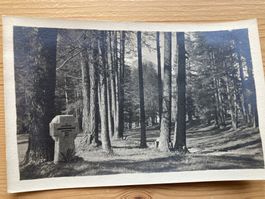 Davos - Waldfriedhof Wildboden - AK