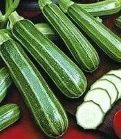 Courgette striée 15g