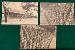 JAPAN - Kyoto Sanjyusangendo - 1900-1910’s - 3 cards