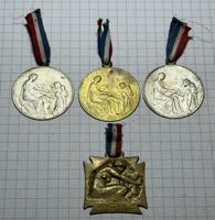 Frankreich - Patriotische Spendendienstmedaille 1915