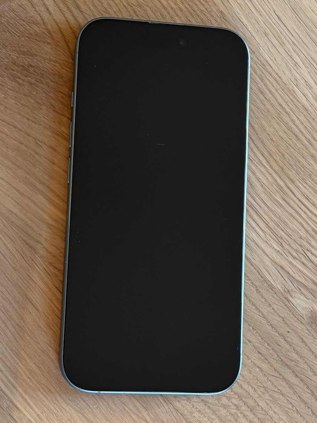 Apple Telefoni cellulari / Smartphones: iPhone 16 mit OVP – Usato da Zürich venduto da robenerdjive 1