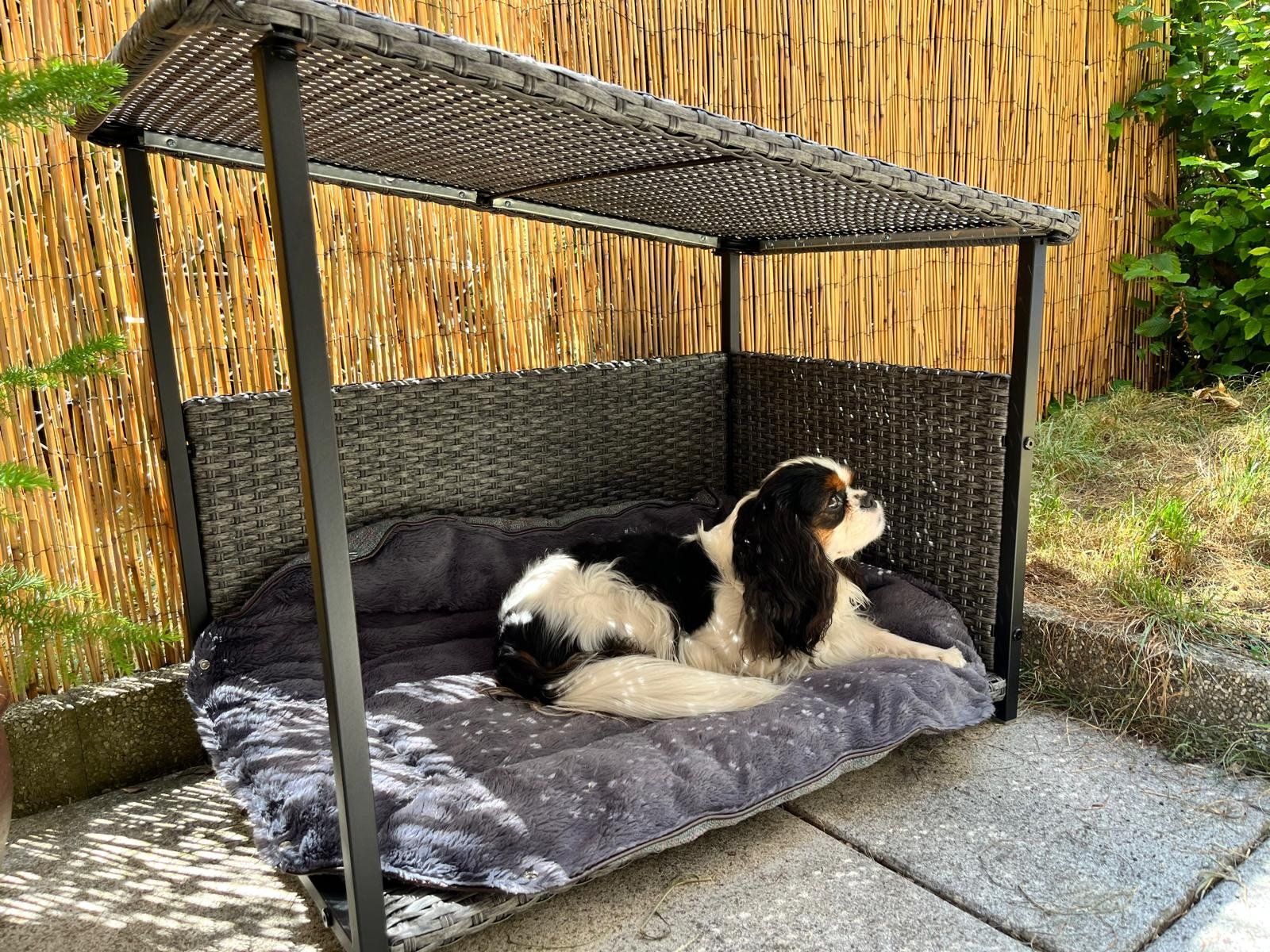 Liege- & Schlafplätze: Niche abri extérieur pour chien – Gebraucht aus Troinex von adelineac 4