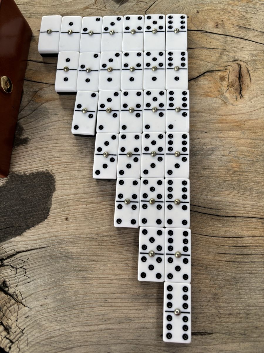 Giochi: Domino Spiel – Usato da Würenlos venduto da Ashley24