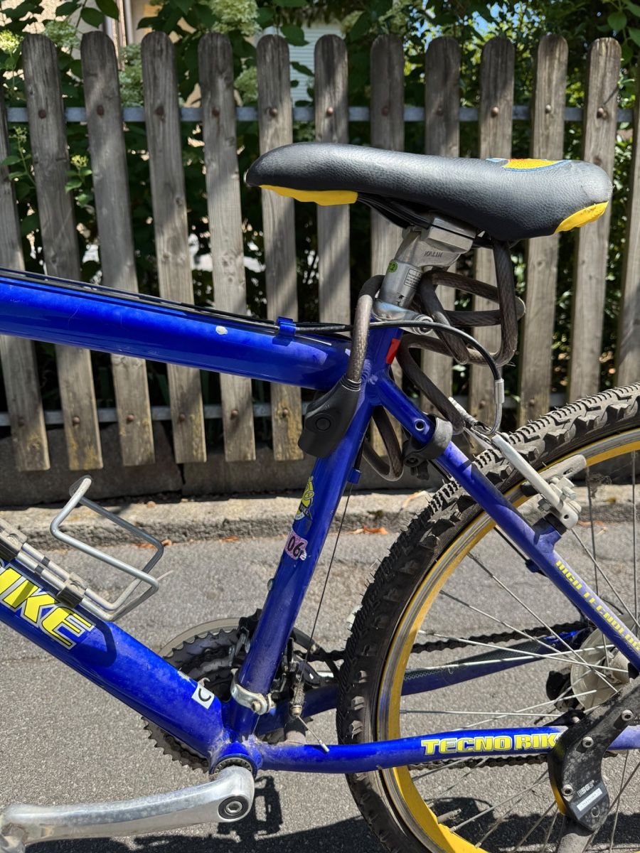 Velos: Kindervelo (ca. ab 12j.) – Defekt aus Fribourg von Papavero_ 4