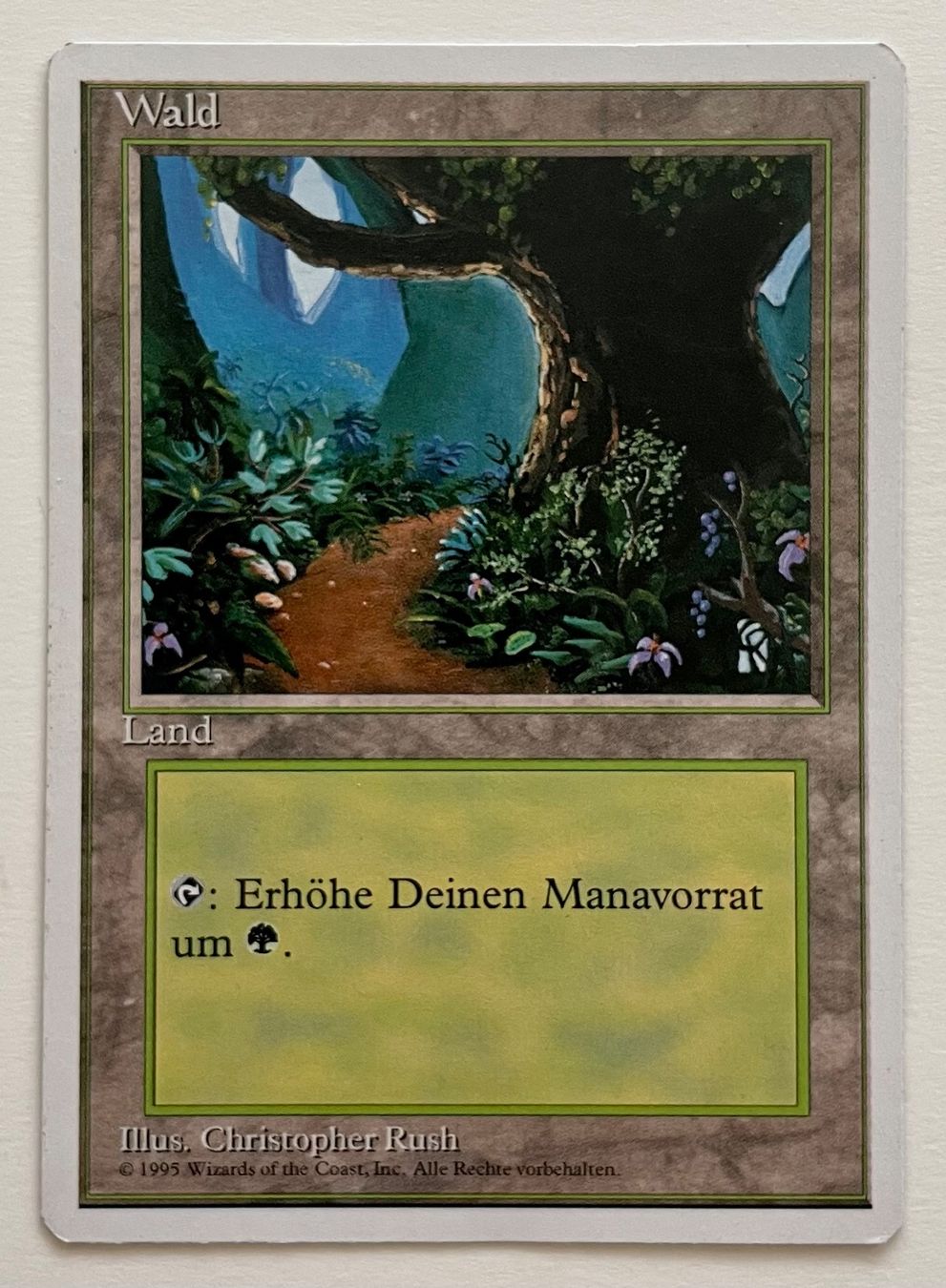 Cartoline: MTG - Wald – Usato da Zürich venduto da T_H_O_M_A_S
