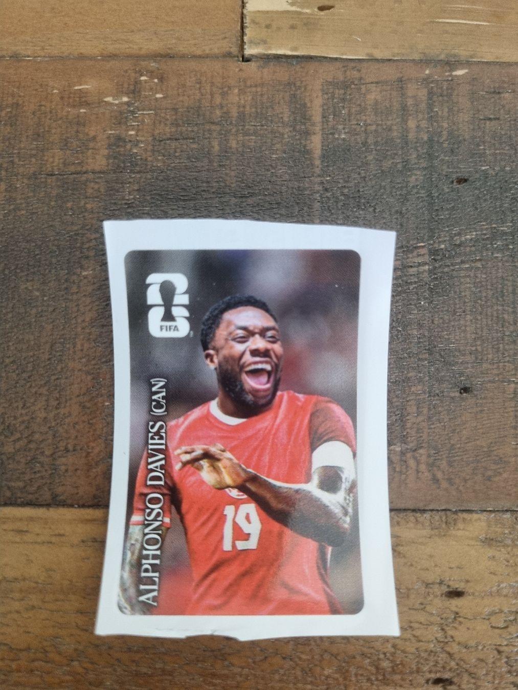Panini Carte collezionabili: WM Panini Cola Sticker Davies – Nuovo (secondo la descrizione) da Murten venduto da Inf-shop