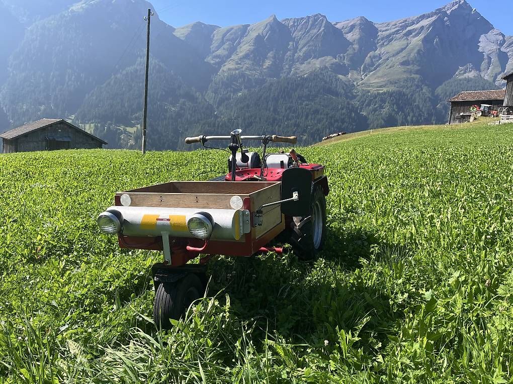 Traktoren: Aebi AM 53 – Gebraucht aus Tschappina von JakobK01 4