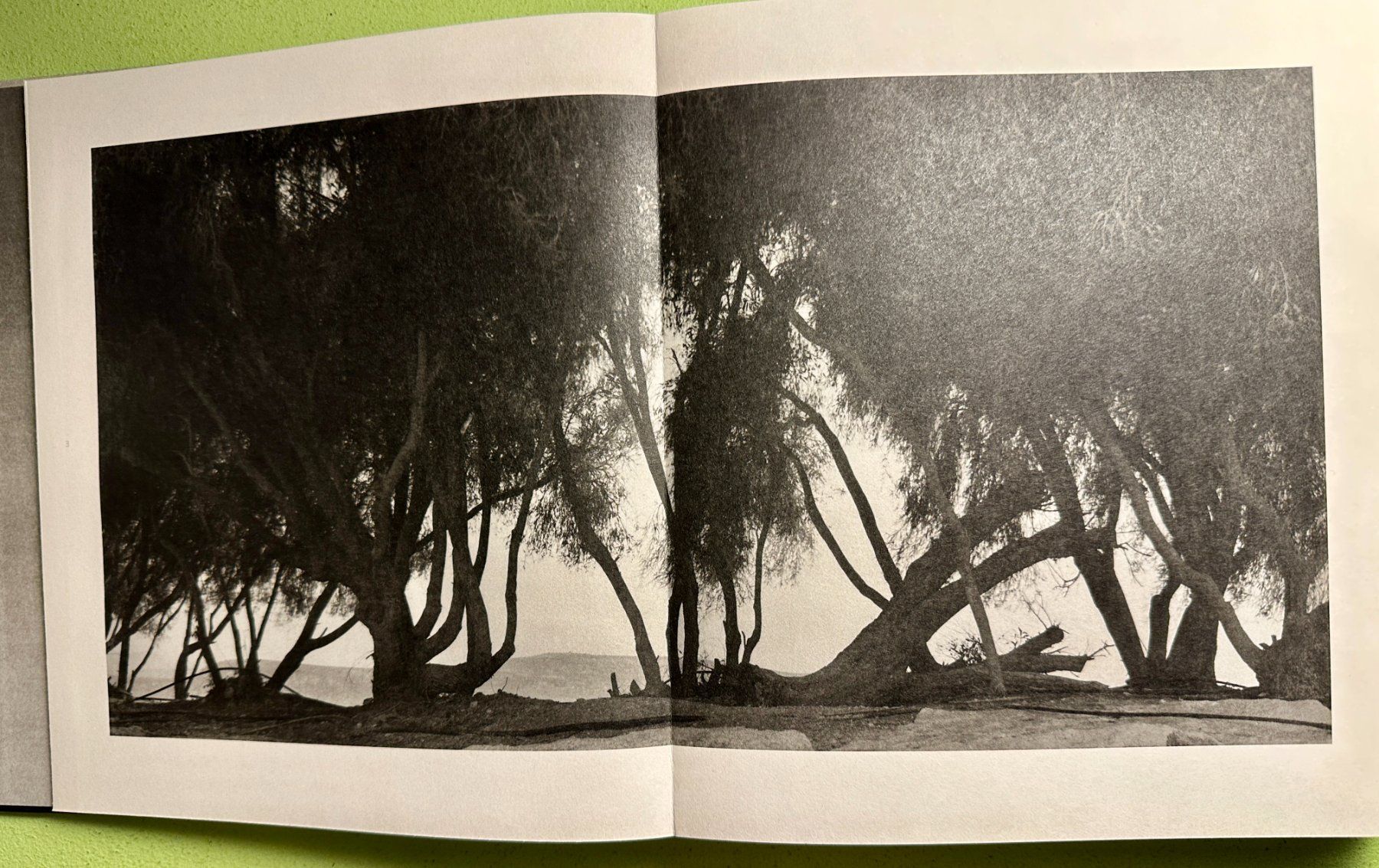 Bücher: Jungjin Lee: Unnamed Road. – Gebraucht aus Zürich von allp 3