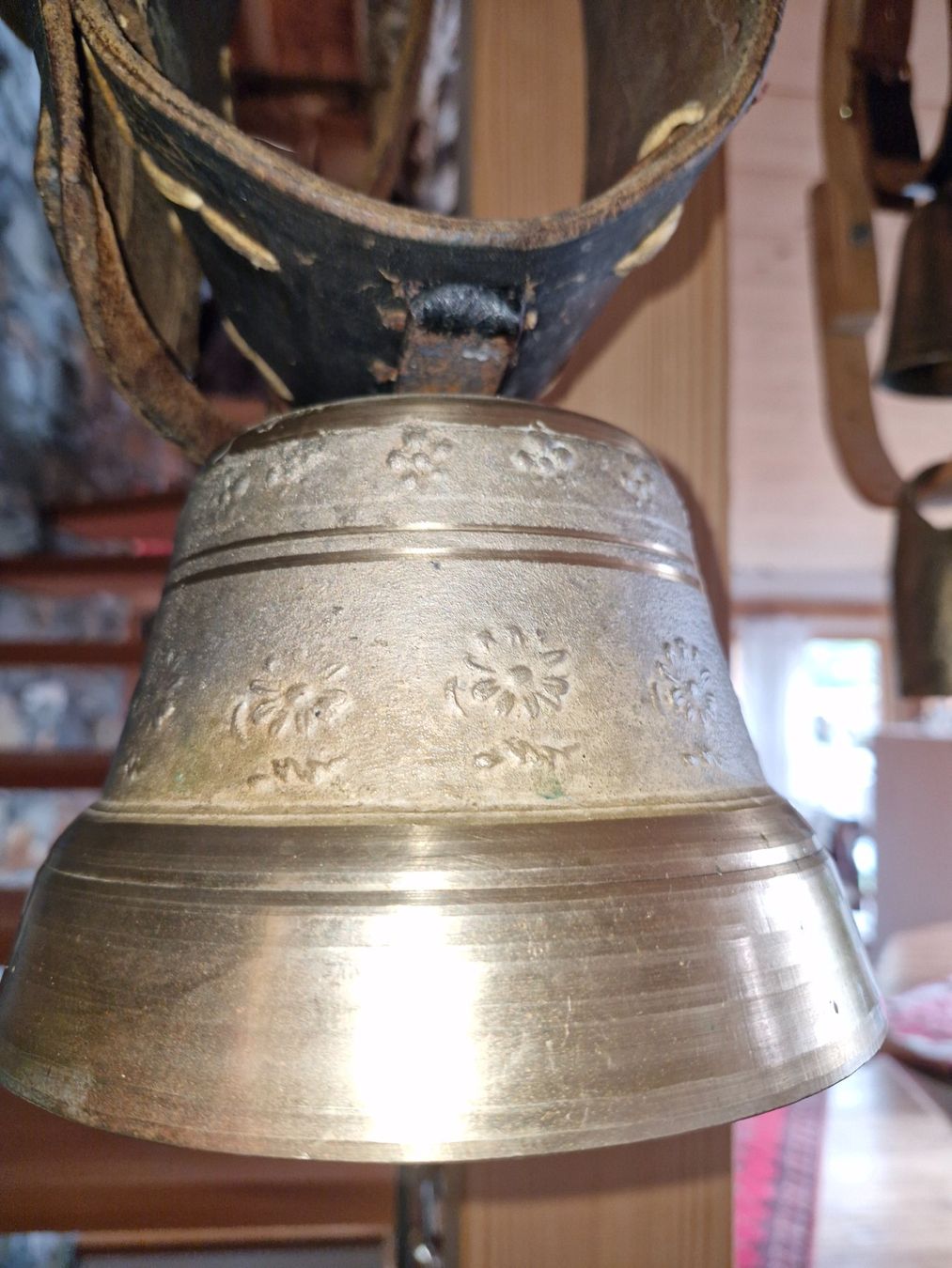 Campanacci mucche: Glocke Treichel – Usato da Guarda venduto da rue_bpd7 3