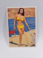 Vintage Pin Up Postkarte / Ansichtskarte - Raquel Welch