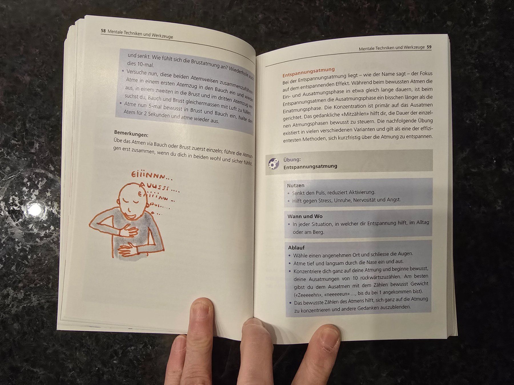 Libri: Mental stark am Berg, SAC, édition 2020 – Nuovo (secondo la descrizione) da BERN venduto da froggyinternationale 2