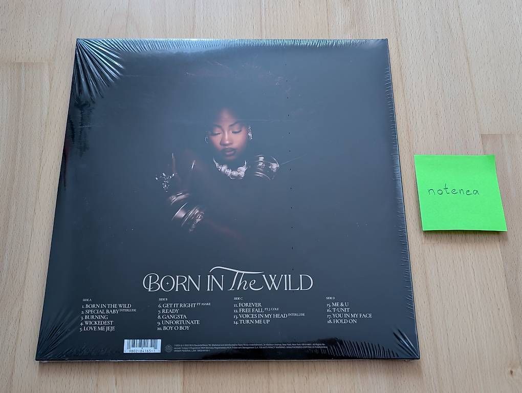 Dischi in vinile: Tems - Born In The Wild (2LP, Album) – Nuovo e nell'imballaggio originale da St. Gallen venduto da notenea 1