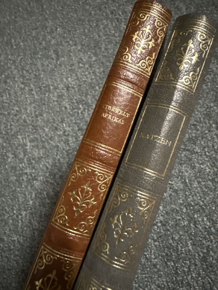 Libri: 8 Avantibücher – Usato da Baltschieder venduto da YmroBe 3