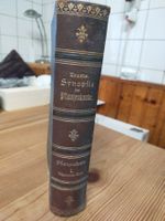 Buch Leunis Synopfis Pflanzenkunde 1883