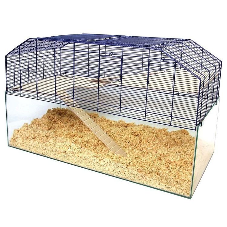 Hamsterkafig Aus Glas