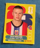 Haaland NOR15
