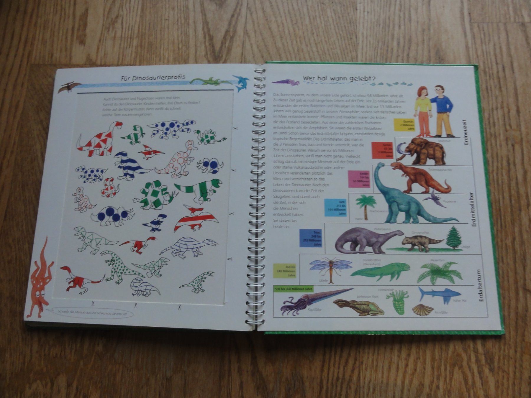Libri: Dinosaurier: Wieso? Warum? Weshalb? – Usato da Riedholz venduto da Taweva 3