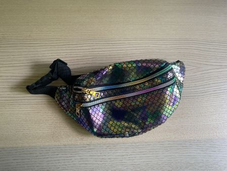 Bauchtasche