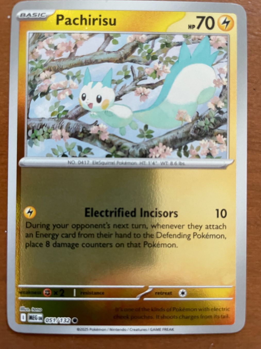 Pokémon Carte collezionabili: Pokemon Pachirisu Reverse (Versand gratis) – Nuovo (secondo la descrizione) da Chur venduto da Angerson