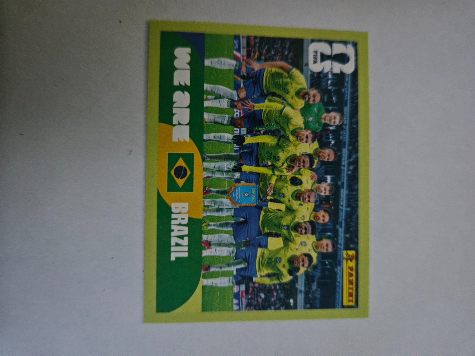 Panini Carte collezionabili: BRA 13 – Usato da Würenlingen venduto da Dinli
