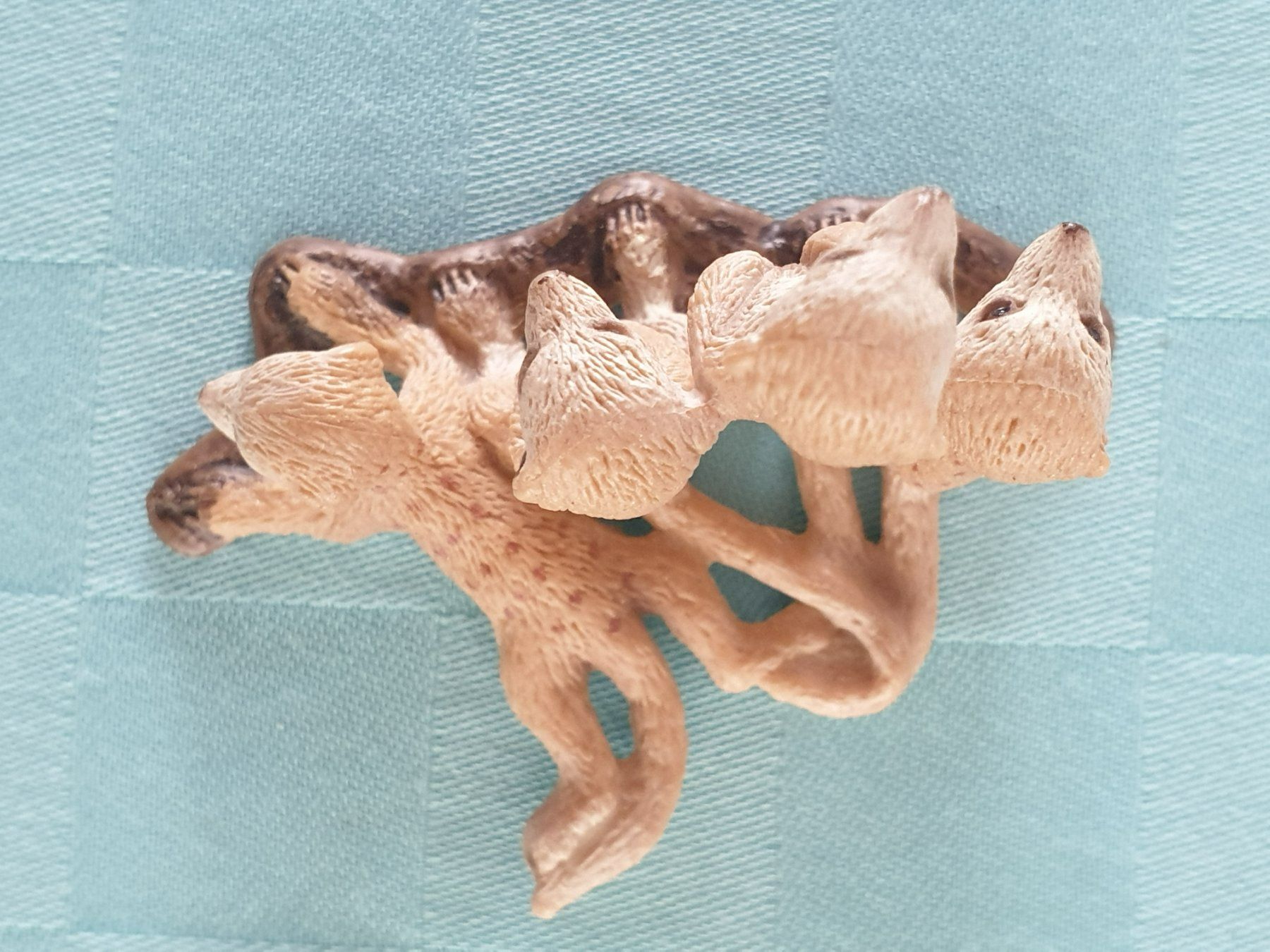 Schleich Figurines: Erdmännchen Schleich Tier Tiere – D'occasion à Mörschwil par spirspi 4
