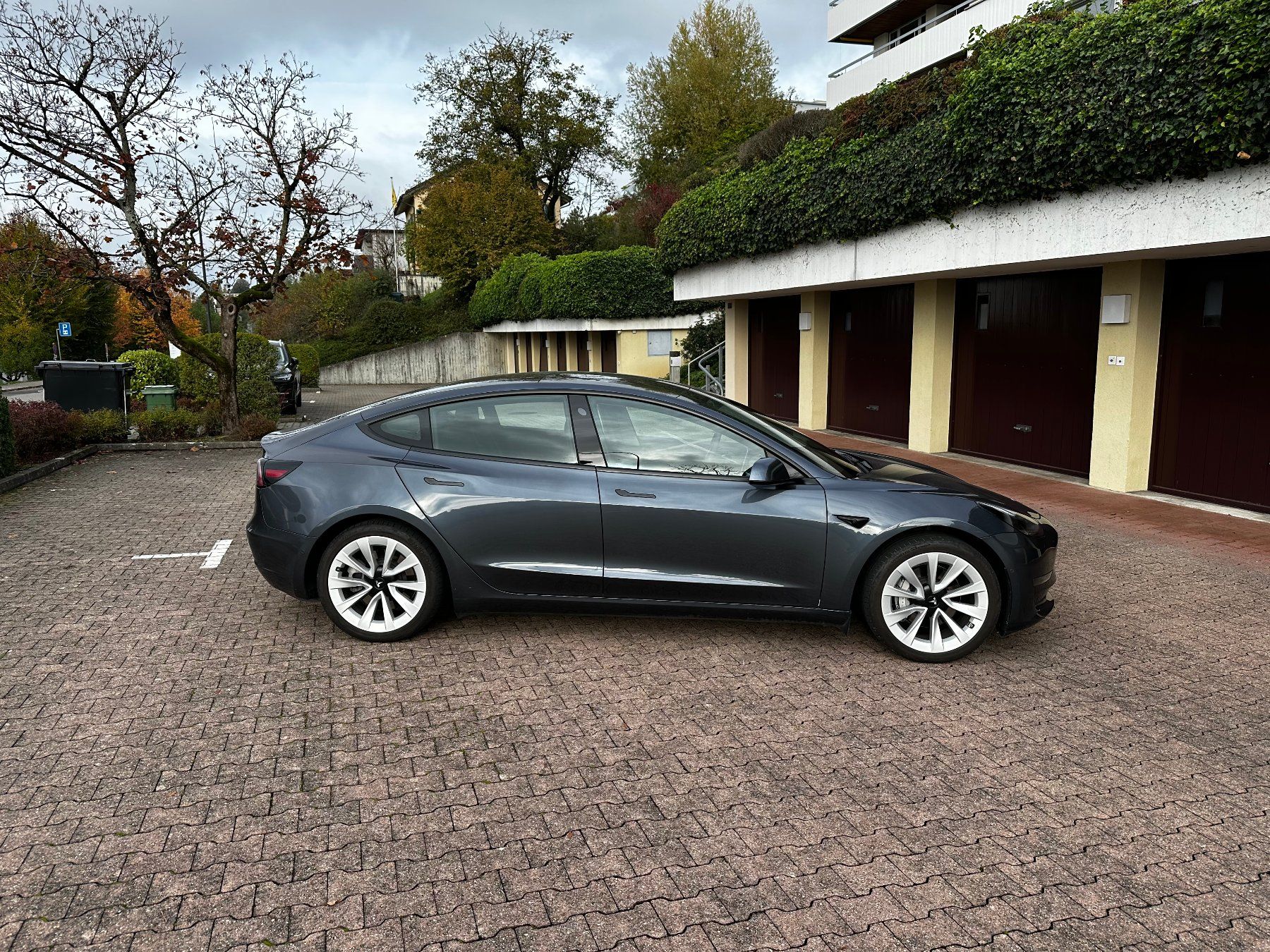 Tesla Automobili: Tesla Model 3 Long Range Dual Motor – Usato da Meilen venduto da Goemon