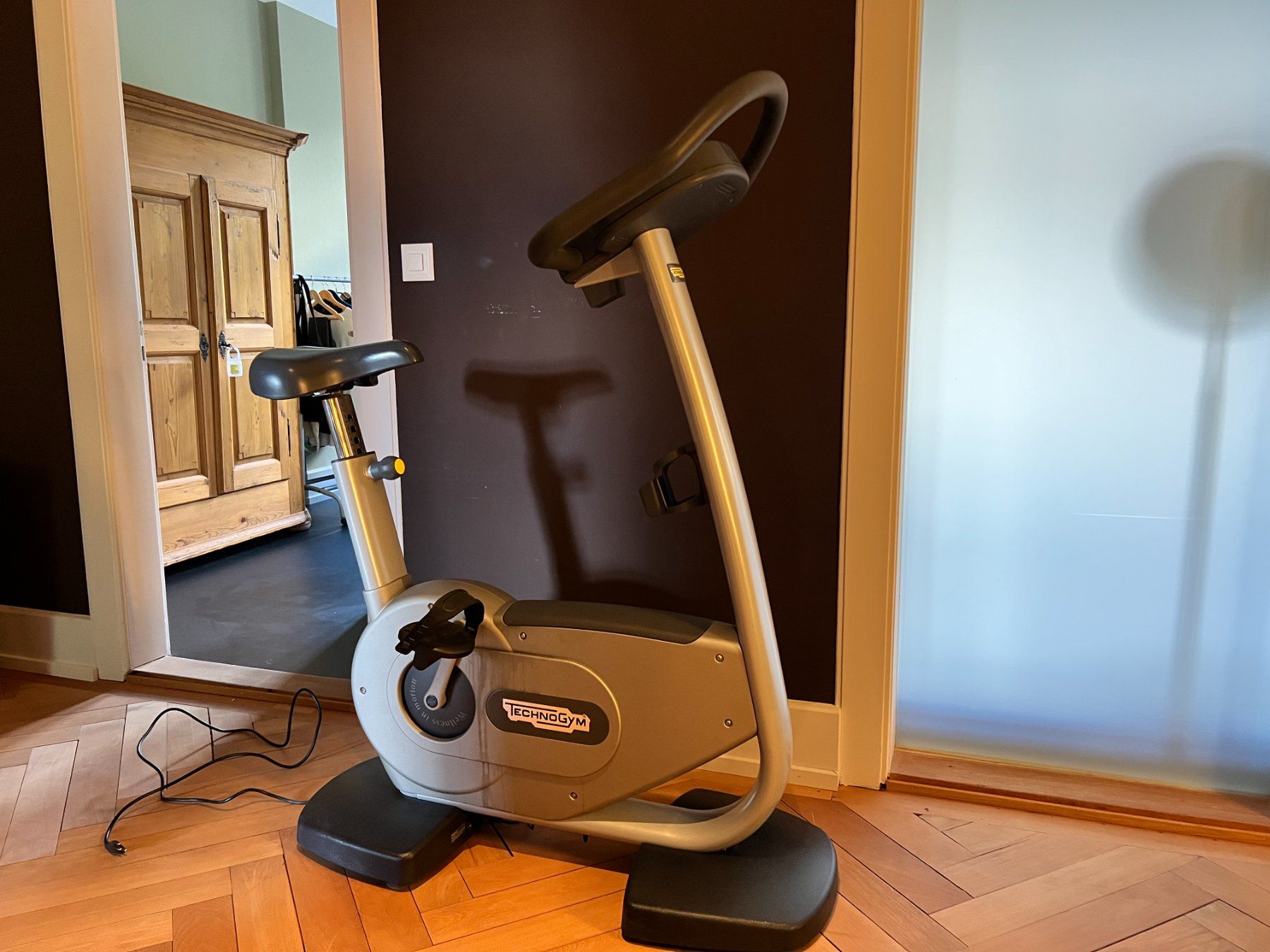 Technogym Hometrainer: Technogym Bike – Gebraucht aus Solothurn von Liman01 4