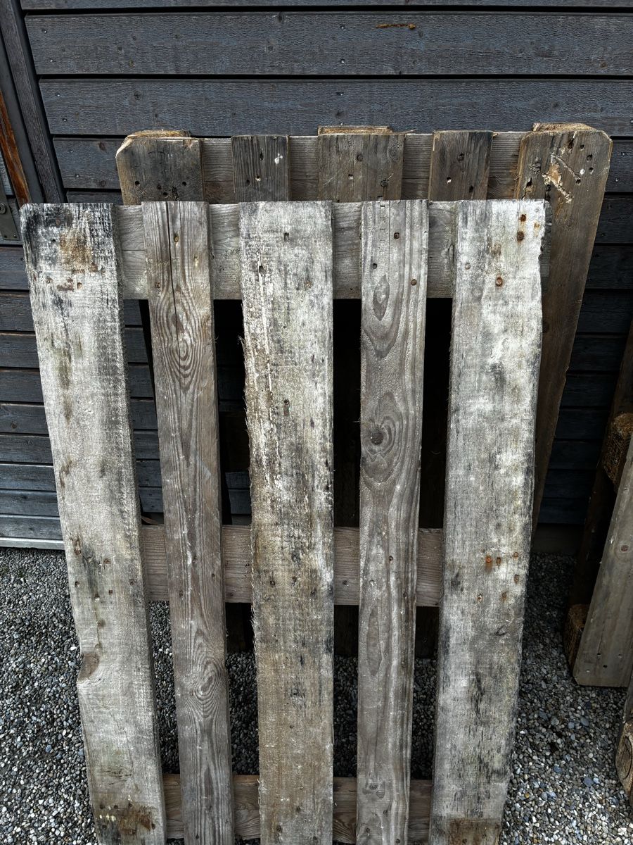 Pallets: Vier Europaletten – Usato da Wiesendangen venduto da Hobbit 1