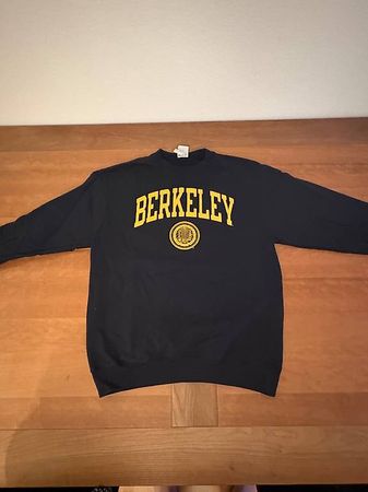 Original UC Berkley Pullover (von Champion, US Grösse M)