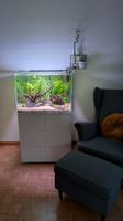 Aquarium Eheim Proxima scape 175 inkl. viel Zubehör