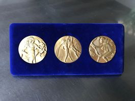Dali - coffret 3 médailles laiton - or