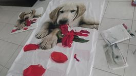 K..53 R) Bettwäsche Motiv Hund Set für 2 Personen
