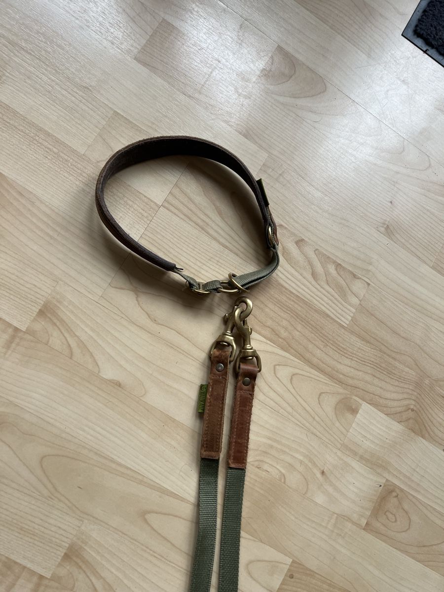 Leine & Halsband: Waldkautz Set Leine / Halsband – Gebraucht aus Rikon im Tösstal von Jenny_T3223