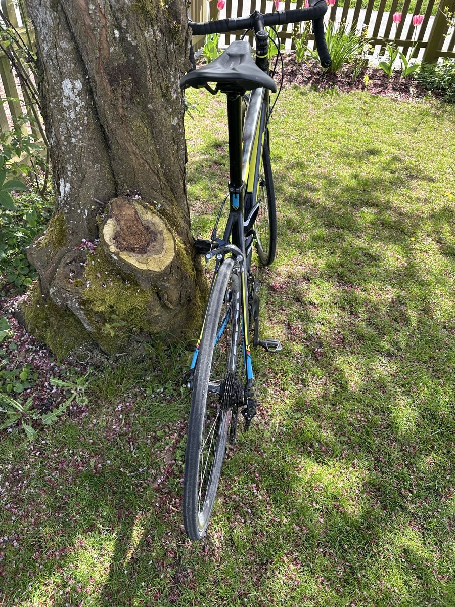 Felt Biciclette: FELT Rennrad, Alurahmen Gr.56 – Usato da Dieterswil venduto da MBaumi7 4