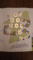 voller Migros Aare Sammelpass (20 Sticker)