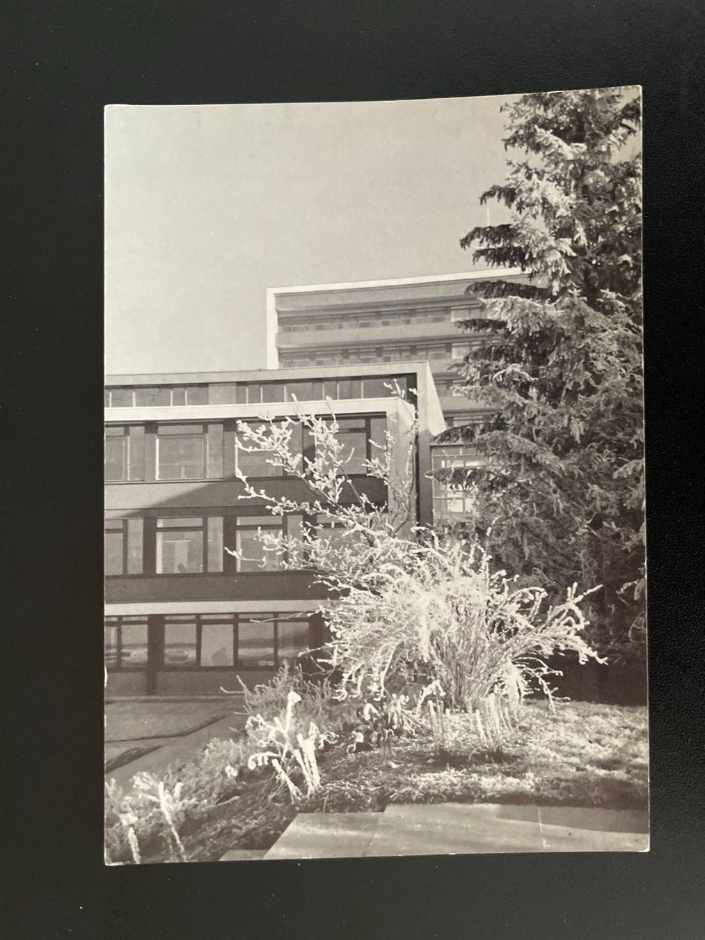 Cartoline postali: AK ZG Seminar Bernarda, Menzingen – Usato da Thal venduto da Danny82