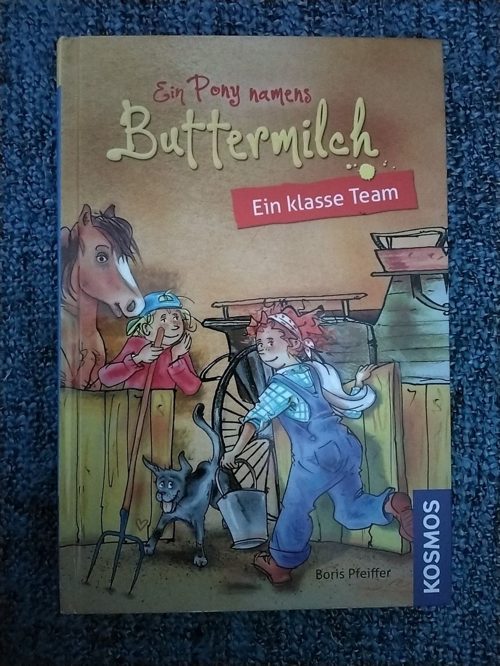 Libri: Ein Pony namens Buttermilch - Ein klasse Team – Usato da Balterswil venduto da Meerdeern