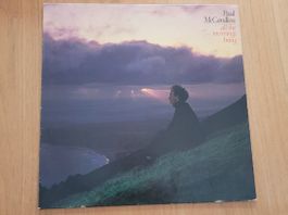 LP  Paul McCandless