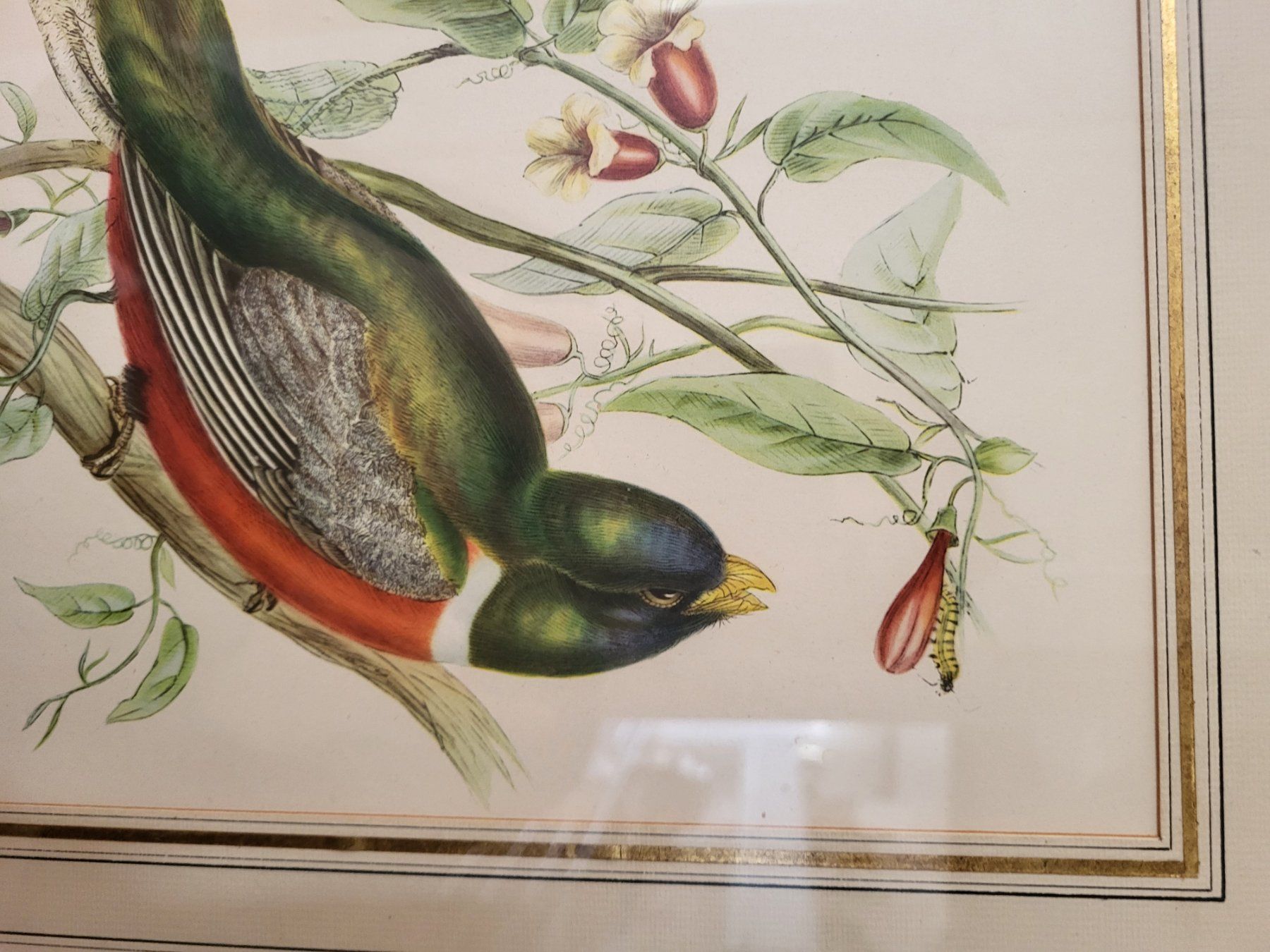 Grafiken & Lithographien: Alte Lithographien, sehr detailliert und schön – Gebraucht aus Zürich von Lizi7 9