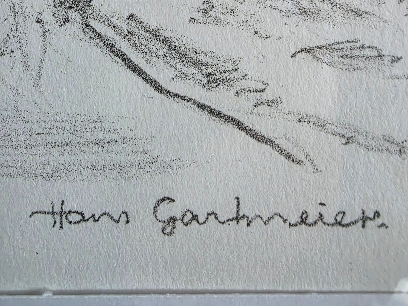 Grafica & Litografie: Hans Gartmeier Lithographie – Usato da Zollbrück venduto da hps55 1