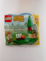 Animal Crossing LEGO Set Maple's Pumpkin Garden 30662