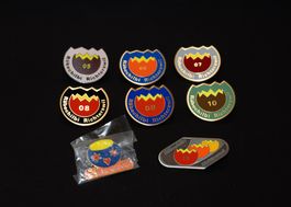 Pin Räbechilbi Richterswil Räbenlichterumzug
