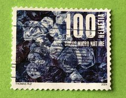 Michel-Nummer:2897  Eisbälle in einem Bach  GESTEMPELT 2022